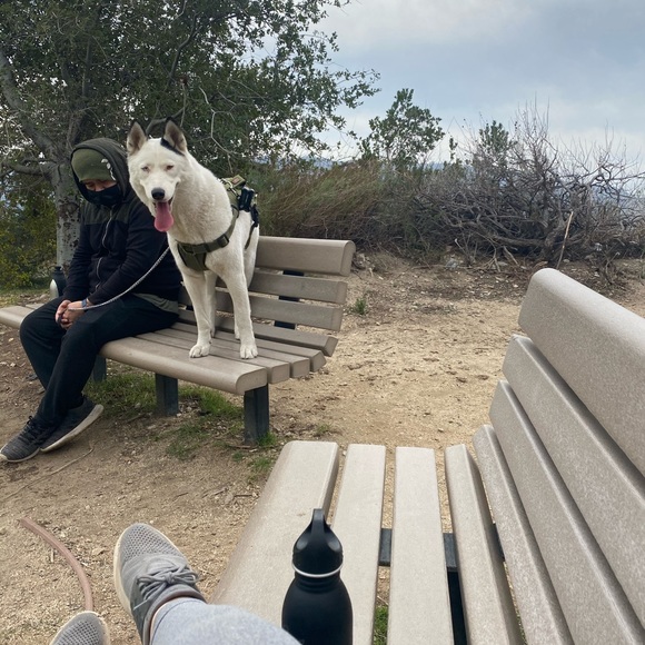 Meet your Posher, Desiree - Picture 10 of 10